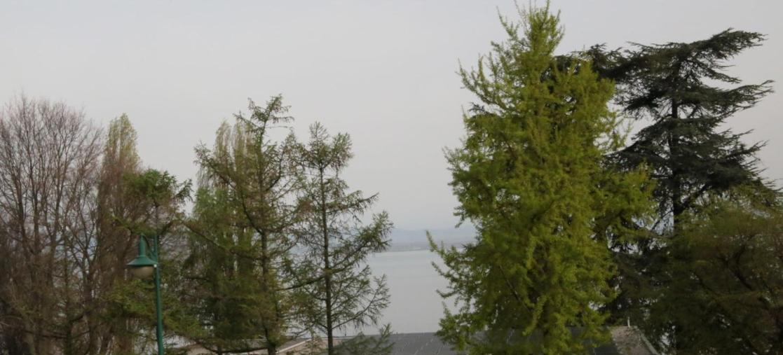 Magnifique T3 Face Au Lac Évian-les-Bains Kültér fotó